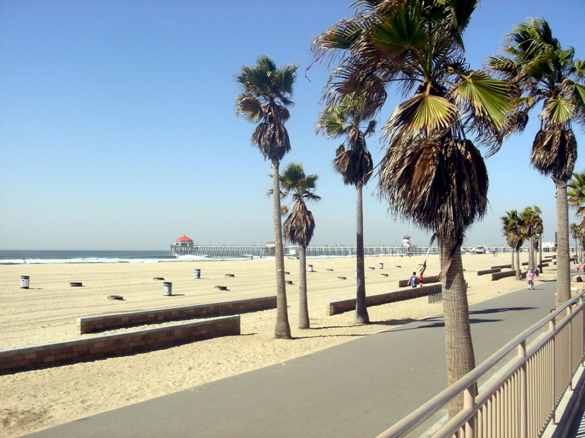 A sandy beach with palm trees lining a paved path, ocean waves in the background, and a pier extending into the sea under a clear blue sky.