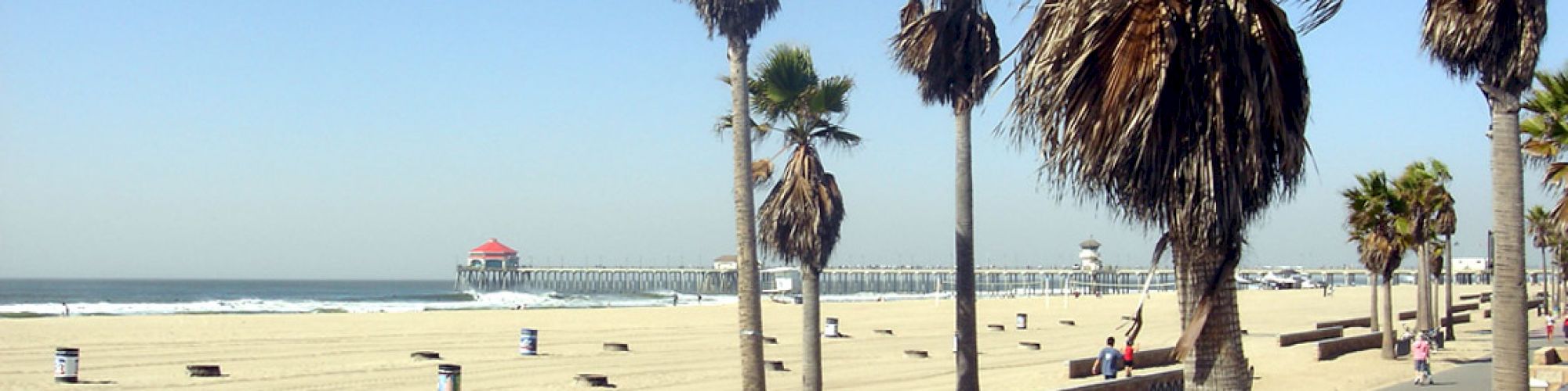 A sunny beach scene with palm trees, a paved walkway with railing, and a pier extending into the ocean in the background.