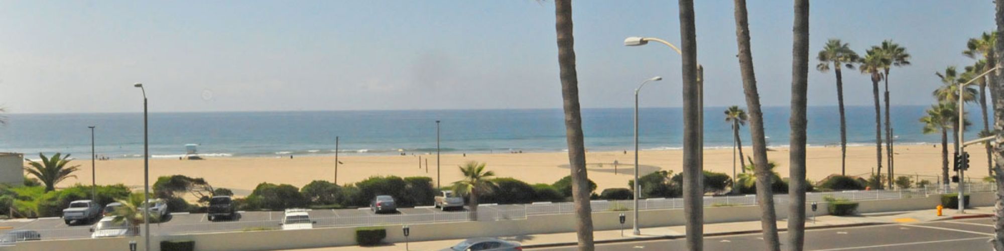 The image shows a seaside view with palm trees, a road, parked cars, and sandy beach in the background under a clear blue sky ending the sentence.