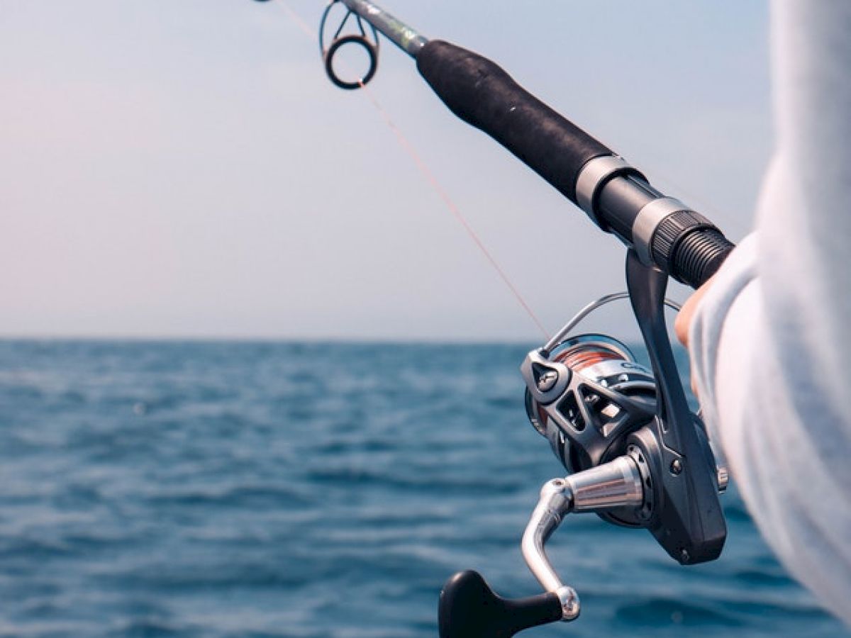 A person is holding a fishing rod over the water, with the sea and sky visible in the background.