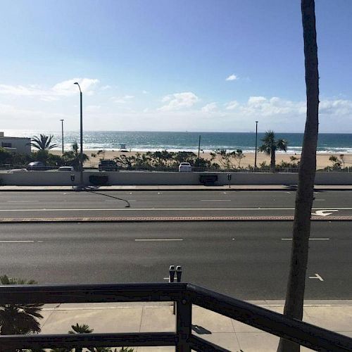 A scenic view of a beach seen from across a road, with palm trees and a clear blue sky in the background.