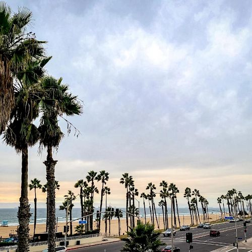 The image shows a coastal scene with tall palm trees lining a road, a beach, ocean waves, and a cloudy sky in the background.