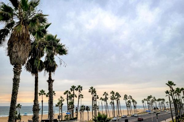 A scenic beach view with tall palm trees, a road running alongside, and the ocean in the background under a cloudy sky.