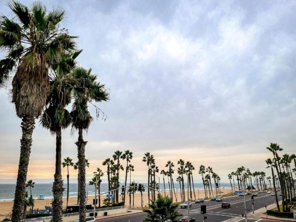 A scenic beach view with tall palm trees, a road running alongside, and the ocean in the background under a cloudy sky.