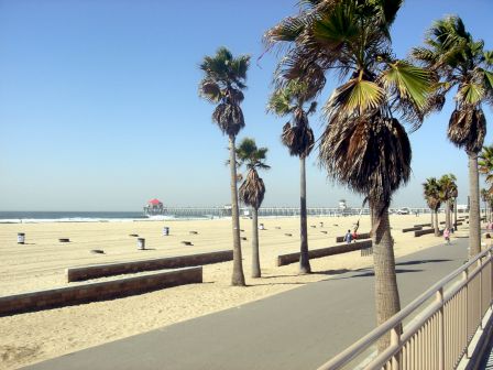 The image shows a sunny beach scene with palm trees, a boardwalk, railings, and a distant pier over the ocean.